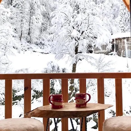 Hotel Foga Çamlıhemşin